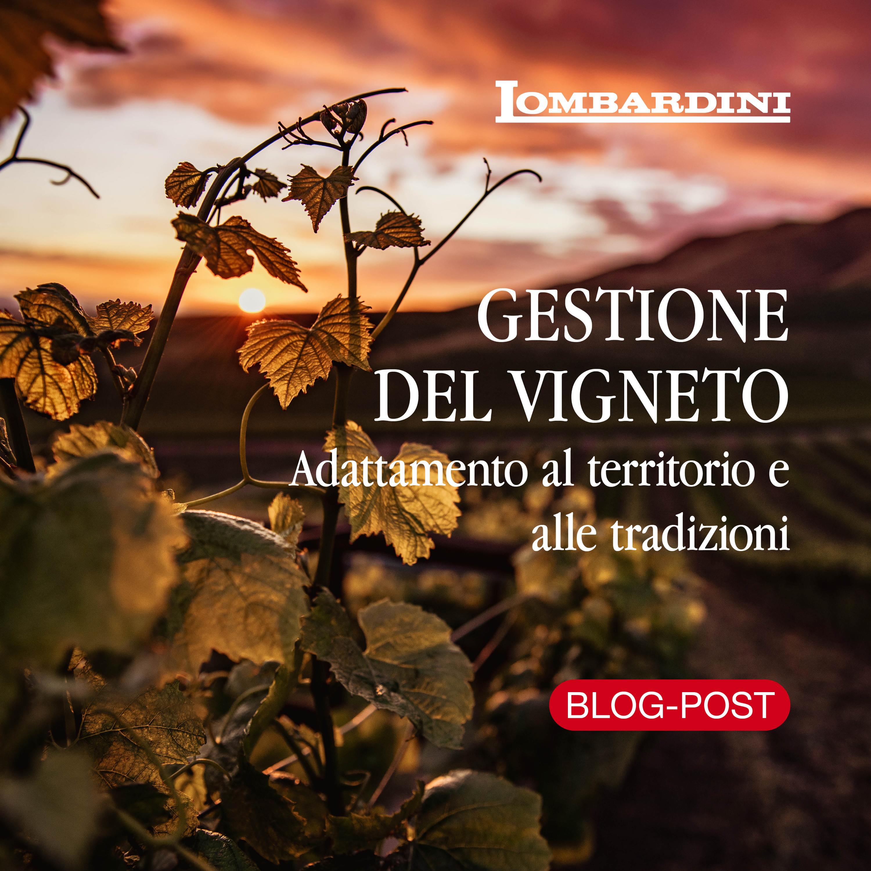 blogpost.jpg