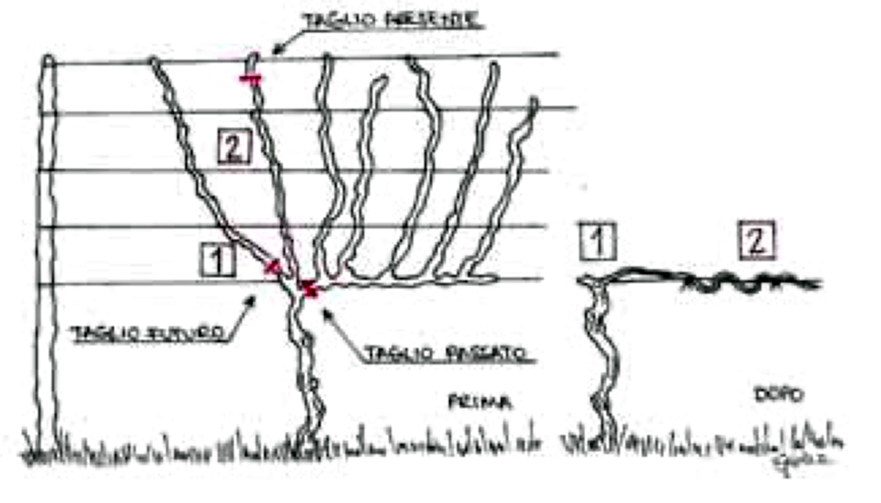 Schermata 2023-05-18 alle 10.11.24.png