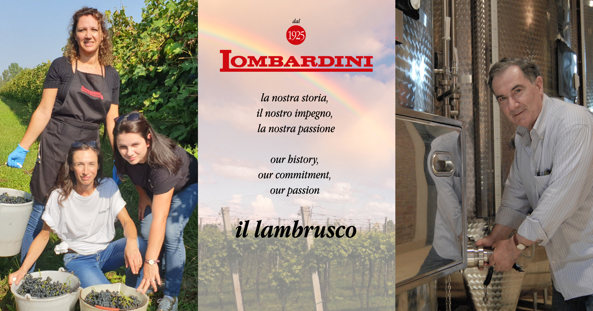 Banner-Arcobaleno.jpg