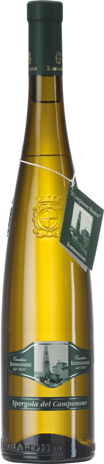Cantine Lombardini - Spergola del Campanone - Vino Bianco Frizzante Secco
