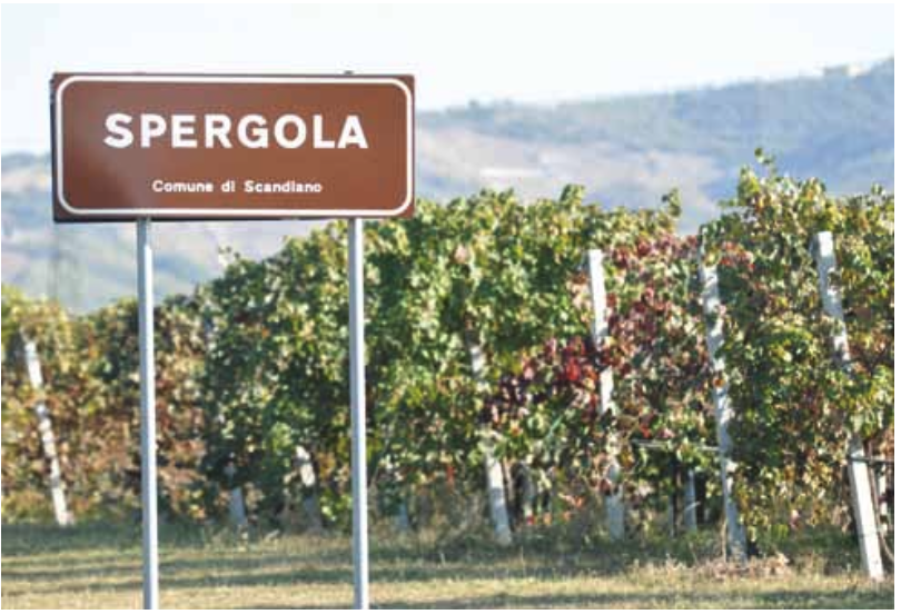 Schermata 2023-05-18 alle 10.11.24.png