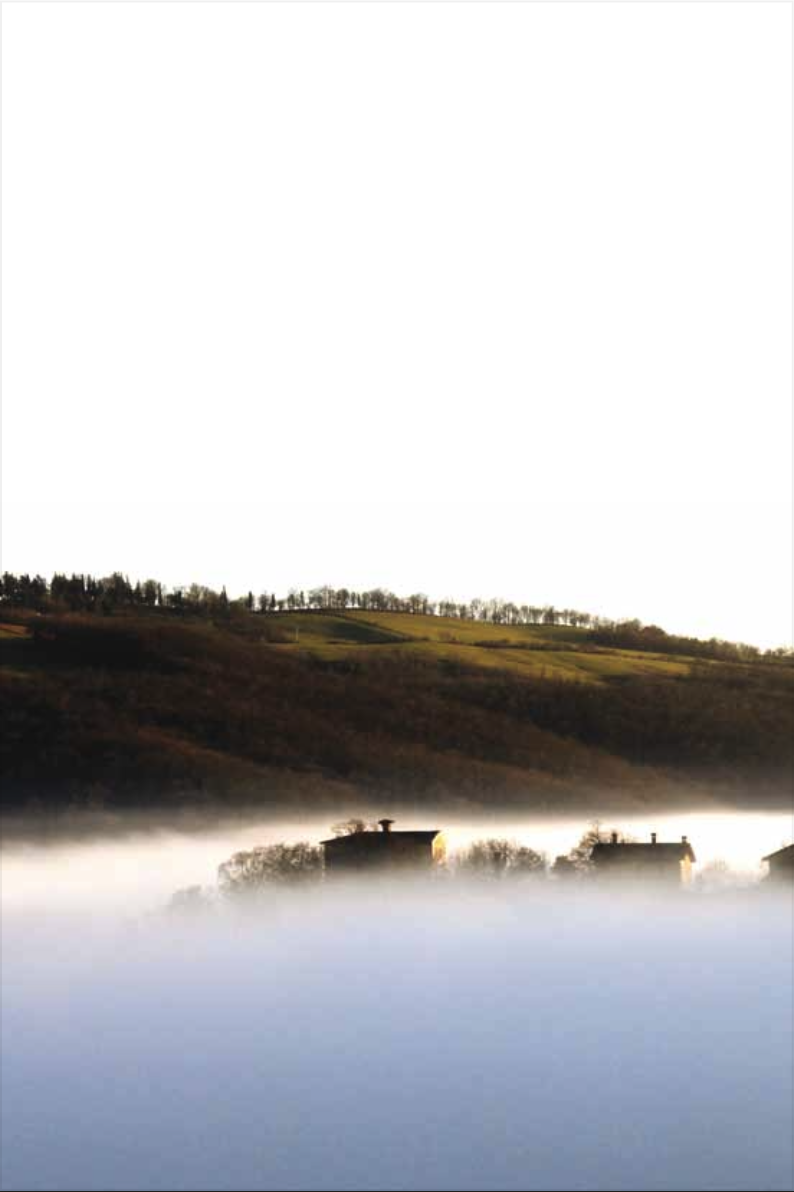 Schermata 2023-05-18 alle 10.11.24.png